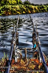 Meet Carp Romanian Awards - 2012